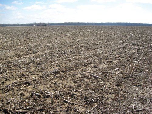 Property photo 7 - 127 Acres Offered in 4 Tracts
